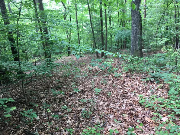 0 Byrds Chapel Rd, Rising Fawn, GA 30738
