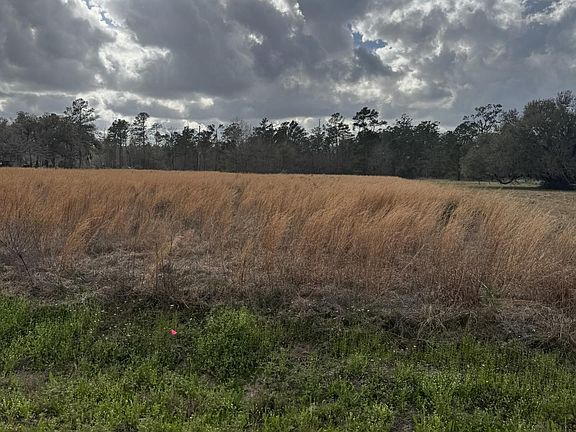 2nd image of 0 Choupique Rd