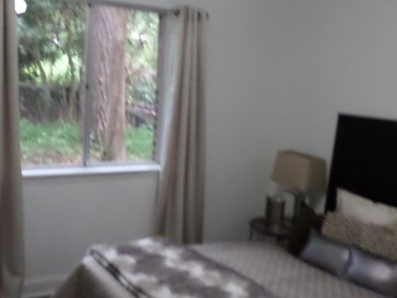 5th image of 617 Holyoke Ct