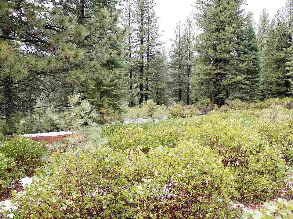 1st image of 568 Bailey Creek Dr