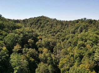 0 Blown Timber, Chloe, WV 25235