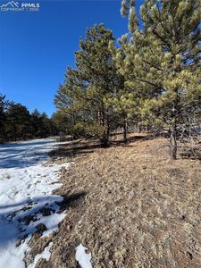 861A State Highway 24, Lake George, CO, 80827