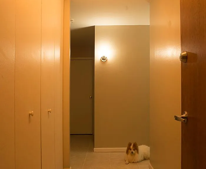 Entrace