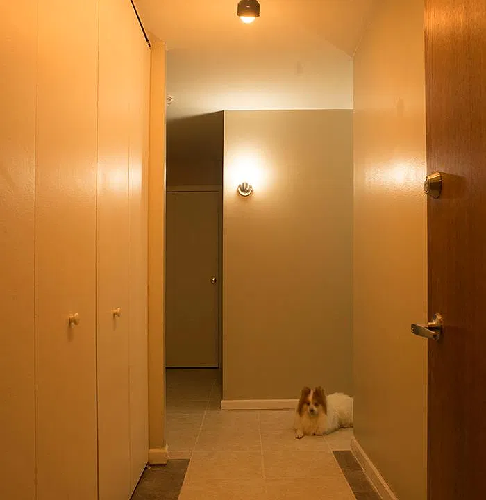 Entrace