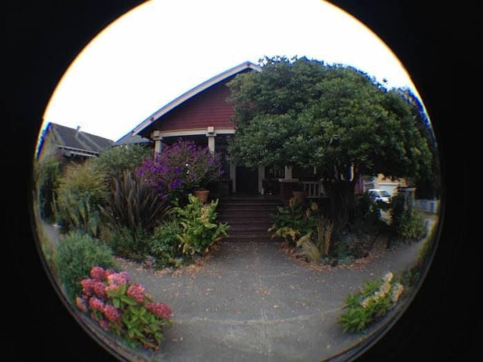 Front Yard