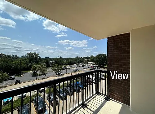 9727 Mount Pisgah Rd — Photo 124