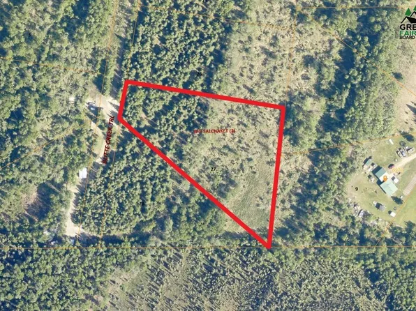 L27 Big Salchaket Trl, Salcha, AK 99714