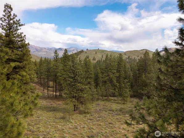0 LOT 61 Whitebark Lane, Winthrop, WA 98862