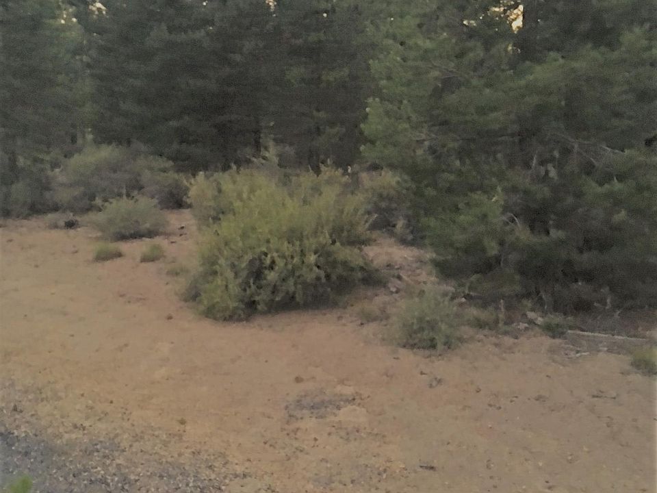 2nd image of 10 Gracies Rd