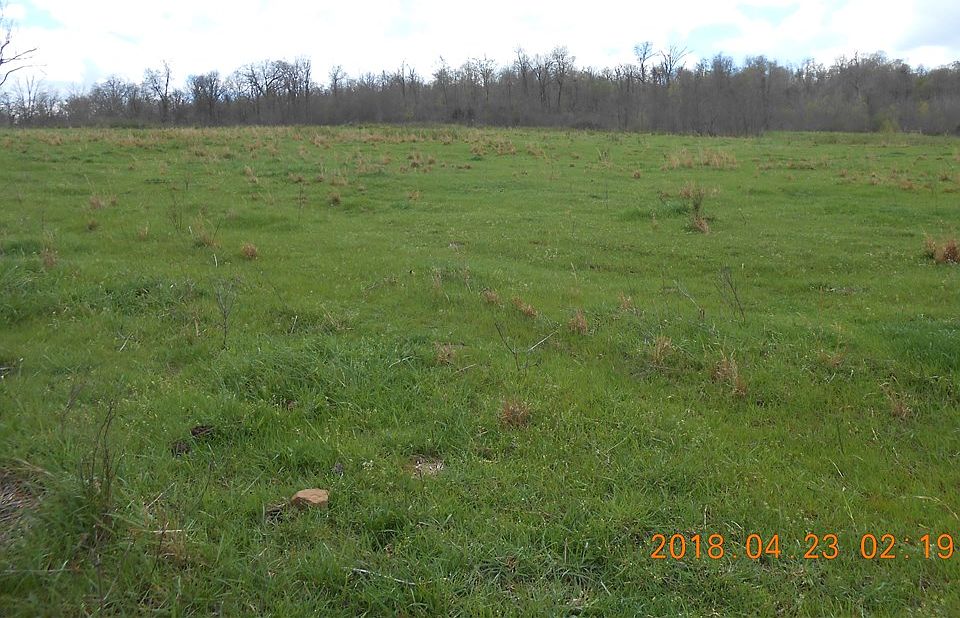 1st image of 50 Ac Sharp Mountain Road Cir #3238
