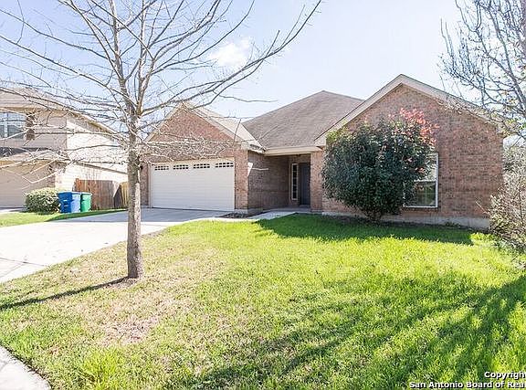 2nd image of 4002 Chinkapin Oak