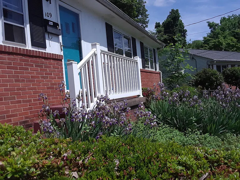 109 David Ter — Photo 48