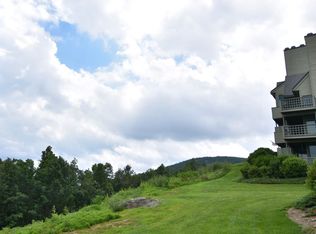 1719 High Rdg, Wintergreen Resort, VA 22967