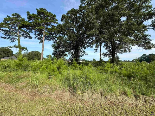 LOT 21 Camden Way, Hawkinsville, GA 31036