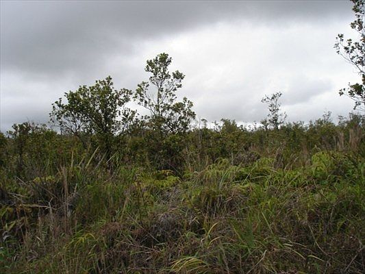 2nd image of LOT 36 Lot 36
