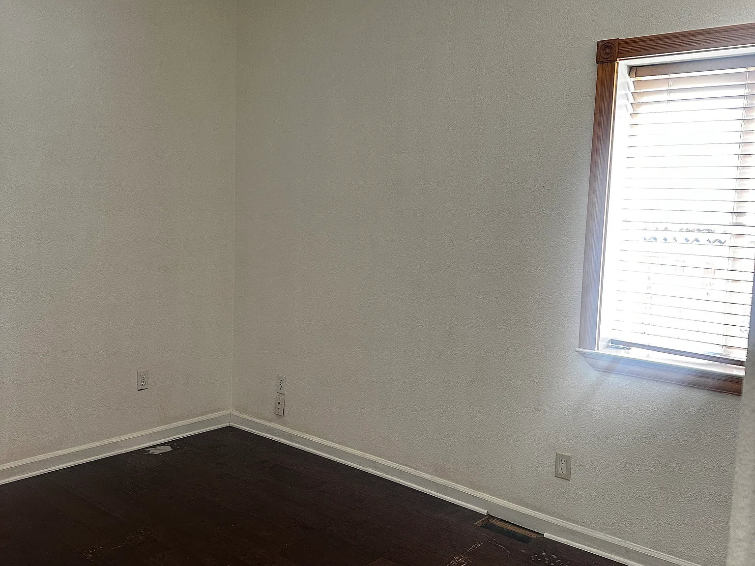 1 bed, 270 sqft, $1,599 — Photo 2