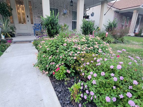 lots of fun flowers that just pop up on their own!