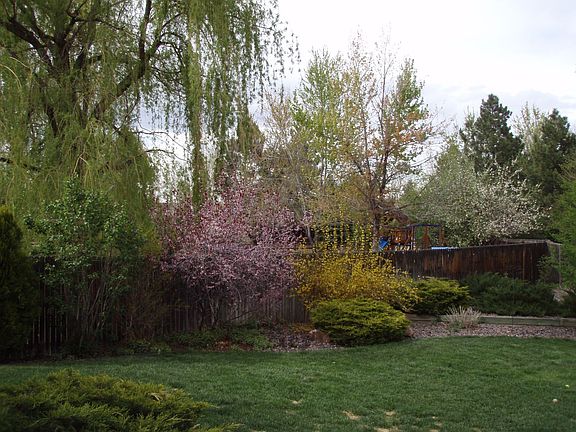 Mature & lovely landscaping