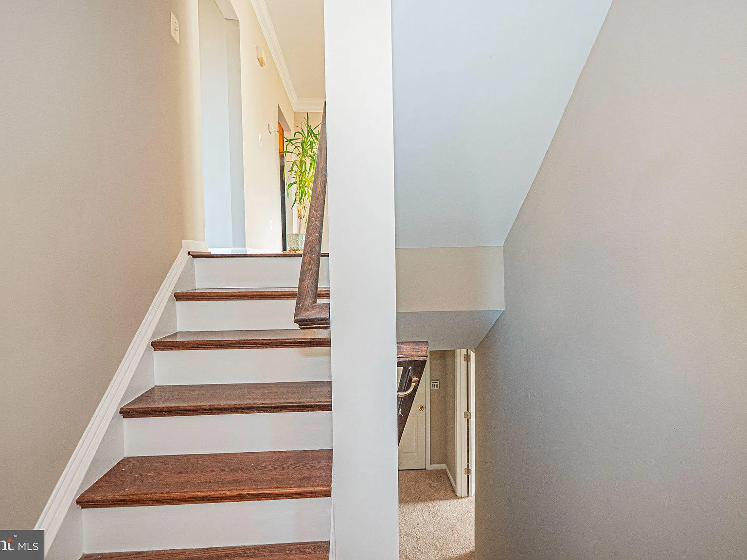 3 bed, 3.5 bath, 2444 sqft, $3,400 — Photo 2