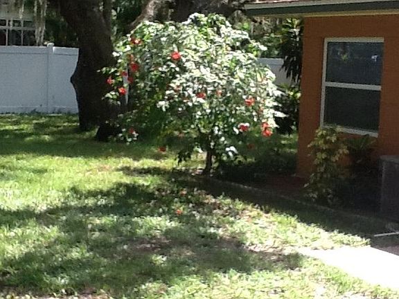 5th image of 1402 Orange Ave