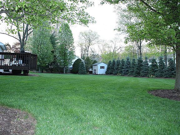 Huge back yard with shed