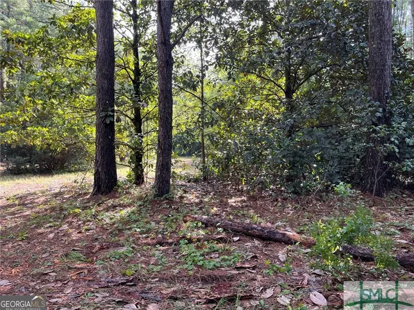 689 Mack English Rd, Ellabell, GA 31308
