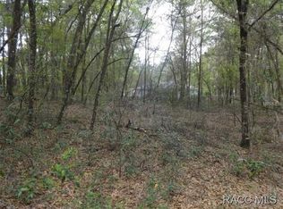 3724 S Diamond Ave, Inverness, FL 34452