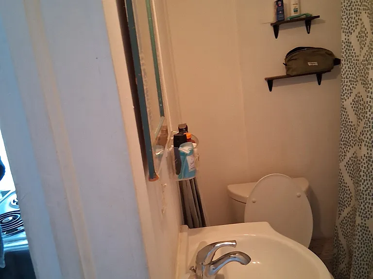11 Riberia St #3 — Photo 24