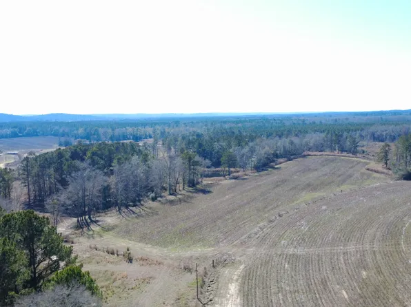 25 County Road 223, New Brockton, AL 36351