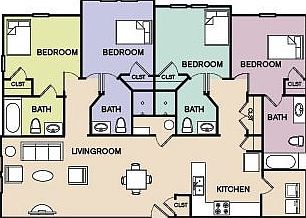 layout
