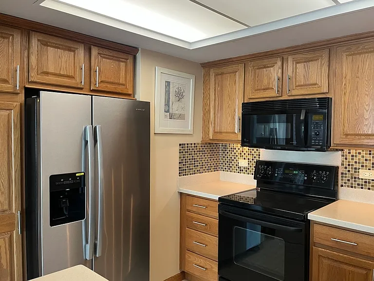 155 N Harbor Dr #1607 — Photo 8