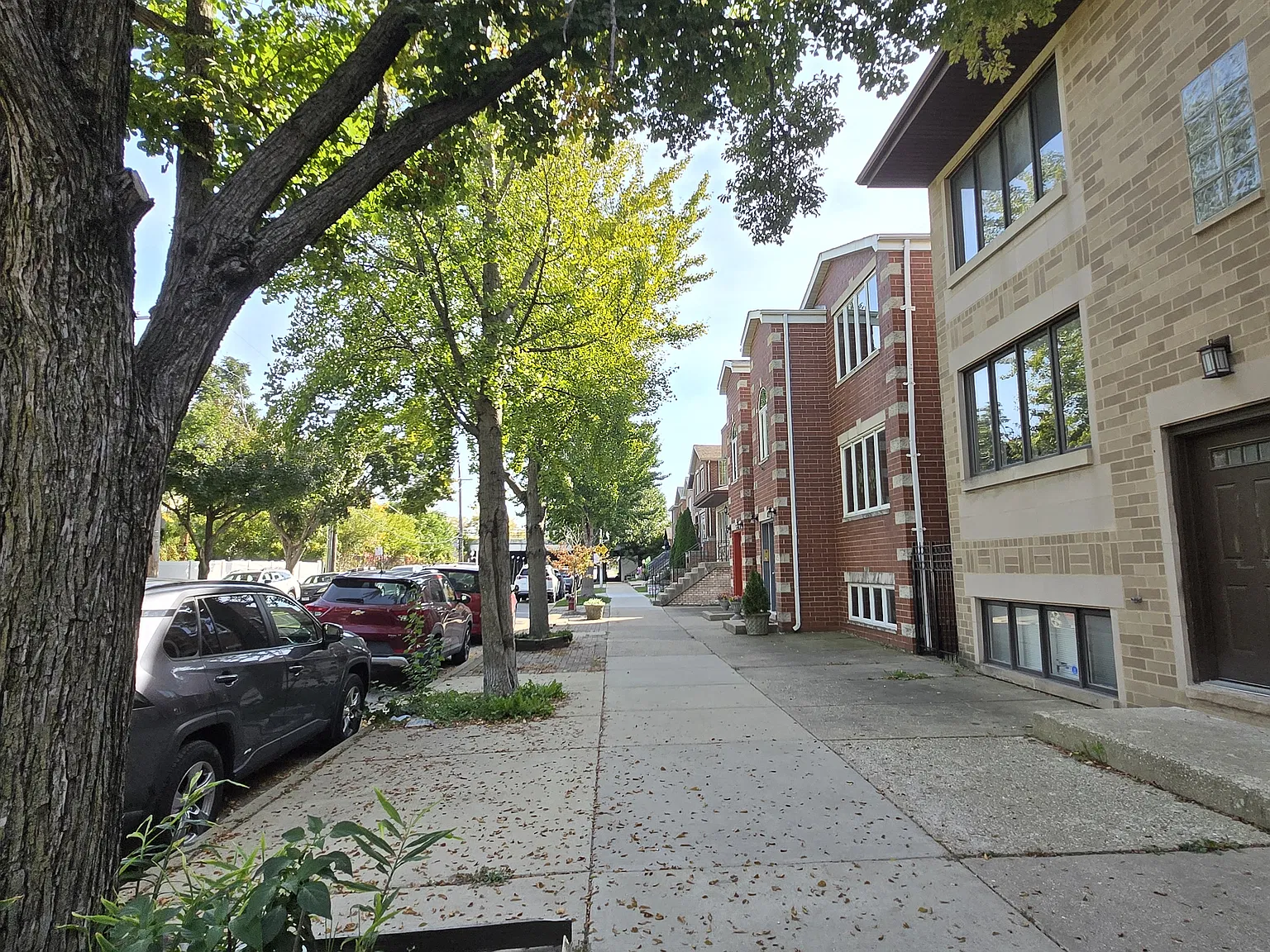 3 bed, 1000 sqft, $1,900 — Photo 3