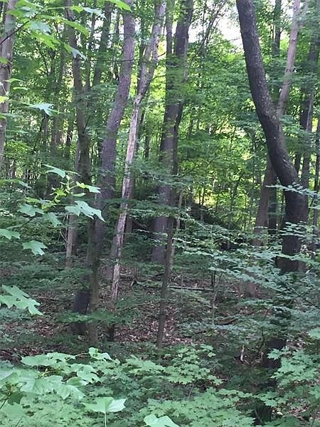 2nd image of 0 Mt Tabor Rd