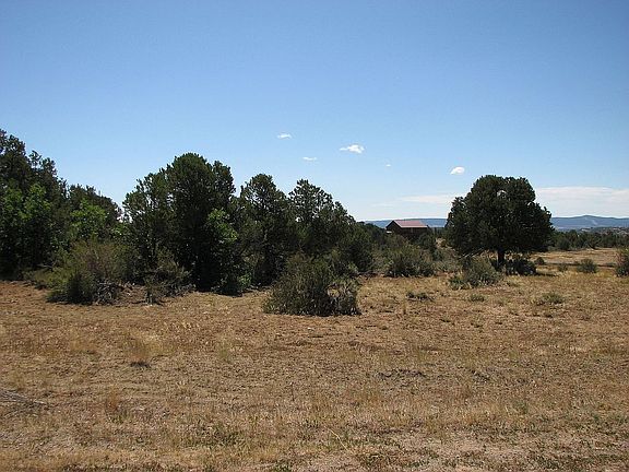 North Side