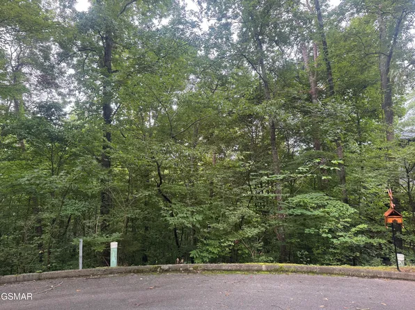Lots 21 23 Saddle Spur Way, Sevierville, TN 37862