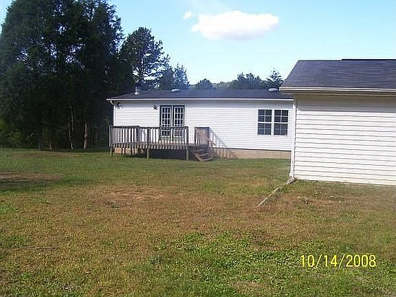Back yard 2008