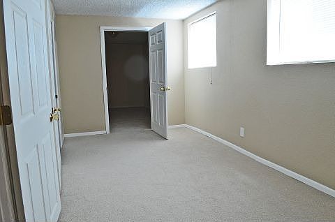 Bonus room in lower level