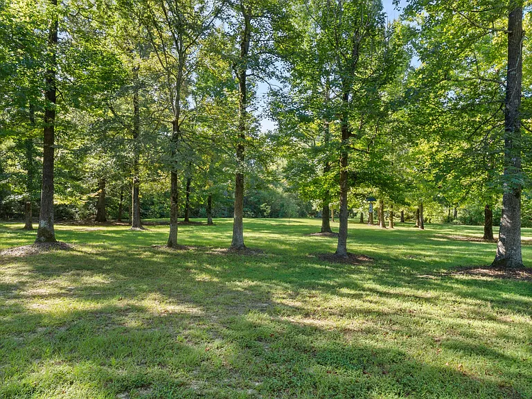 309 Lynch Clements Rd — Photo 21