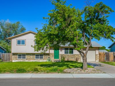 7723 Ivy Ln, Wellington, CO, 80549