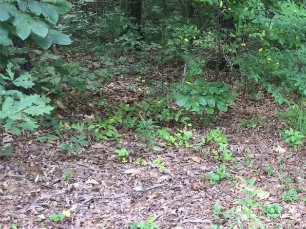 LOT 22 Cub Cove Dr, Walhalla, SC 29691