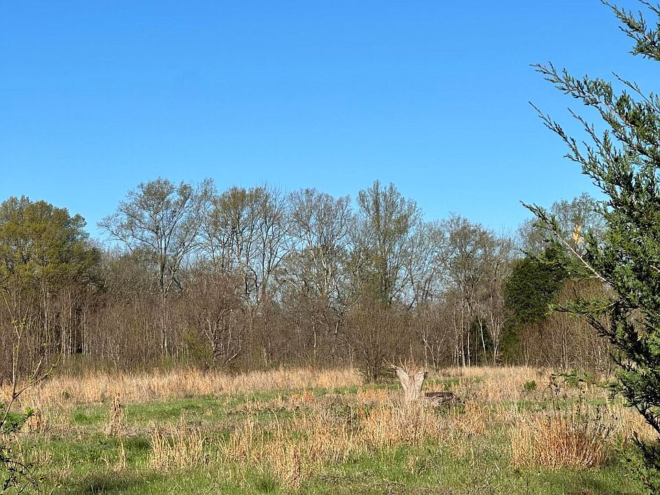 2nd image of State Highway 469