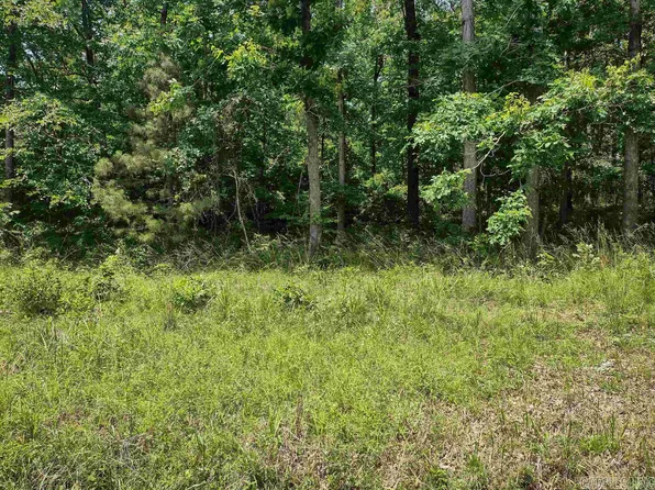 1902 Plum Hollow Blvd, Hot Springs National Park, AR 71913