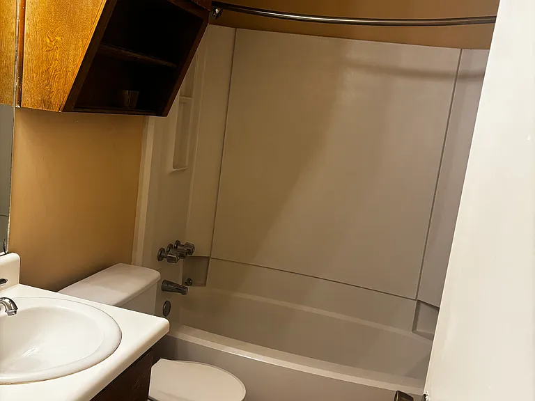 Guest bathroom