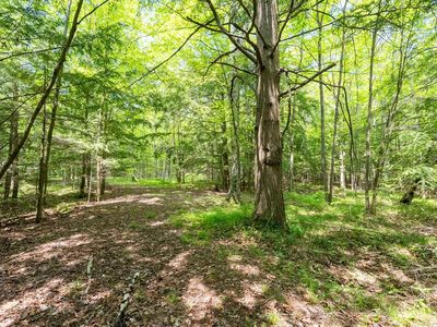 1016 N Berry Ln, Ellison Bay, WI, 54210