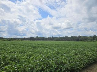 62.88 Acres-TBD Farguson Rd., Nichols, SC 29581