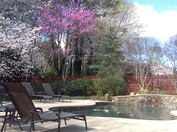 Pool in Spring2