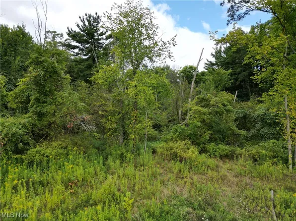 5590 Graven Way, Medina, OH 44281