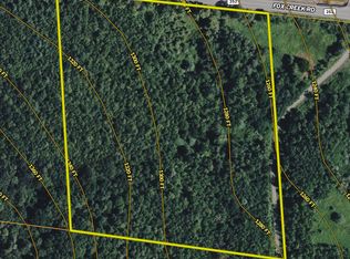 County Road 352 LOT WP001, Medusa, NY 12120
