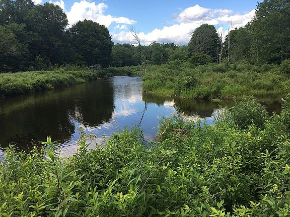 Bordering Willowemoc River