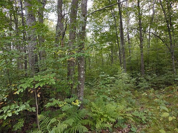 3rd image of 00 N Oak Hill Road